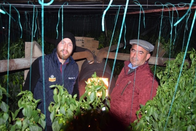 Antalya’nın Serik ve Kumluca ilçelerinde örtü altı yetiştiriciliği yapan çiftçiler, seralarındaki ürünleri dona karşı korumak için gece boyunca sobalarını yakarak nöbet tuttu.

Detaylar==-https://www.batiakdeniztv.com/genel/antalyada-uretici-geceyi-seralarda-gecirdi-h26353.html

BATI AKDENiZ GAZETESi