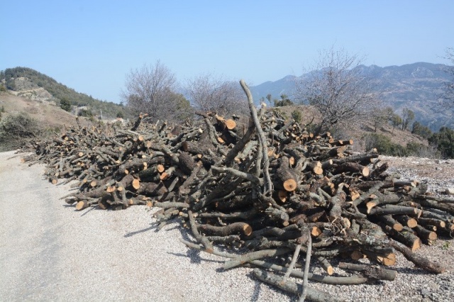 Antalya’da hazine ve sarı alan arazilerindeki ağaç katliamına tepki

Detaylar==-https://www.batiakdeniztv.com/cevre/antalyada-hazine-ve-sari-alan-arazilerindeki-agac-katliamina-tepki-h26751.html

BATI AKDENiZ GAZETESi