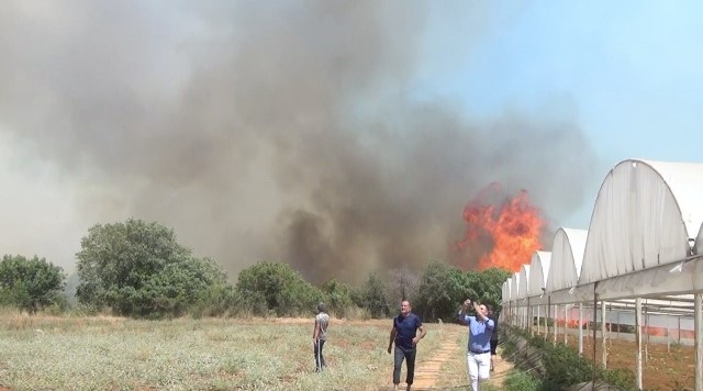 Antalya’da yangın